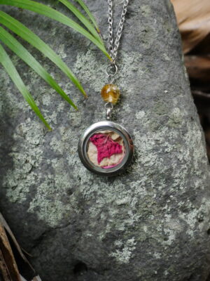 Collier Abondance - médaillon argenté