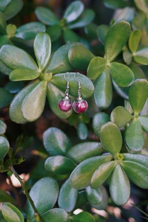 Boucles d'oreilles Féminin Sacré - argenté