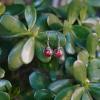 Boucles d'oreilles Nouveau Départ - argenté