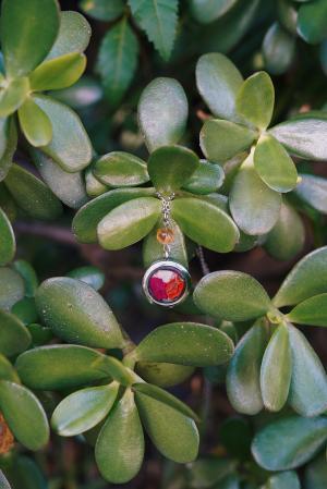 Collier Abondance - médaillon argenté – Image 5
