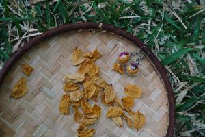 Boucles d'oreilles joie avec cytise indien