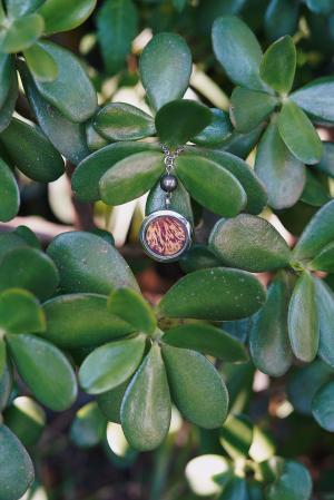 Collier Succès- médaillon argenté – Image 3