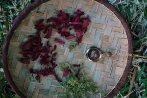 Collier nouveau départ avec sélaginelle et sauge écarlate