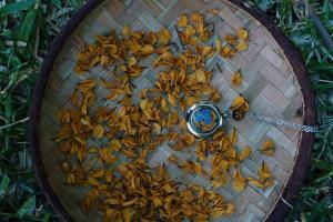 collier confiance avec sindian