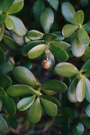 Collier Confiance - sphère argenté – Image 5