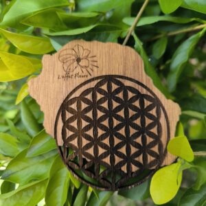 Recharge fleur de vie